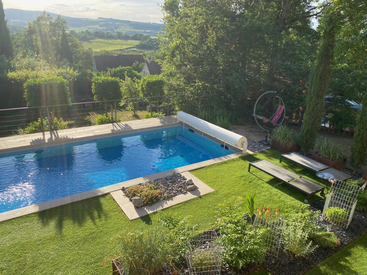 La Ronde Des Bois - Romance Et Bien Etre - Jacuzzi Privatif-Piscine-Patio Mellecey エクステリア 写真